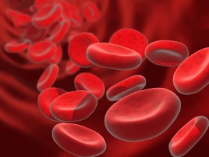 Red blood cells carry oxygen which allows your body to make energy.