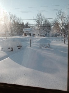 The morning after the first storm! My car is in there somewhere.